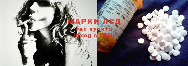 молекула духа Магадан