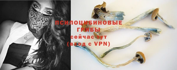 молекула духа Магадан