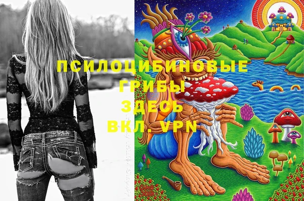 амф Мегион
