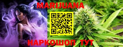 индика Апшеронск
