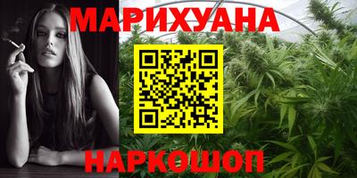 индика Апшеронск