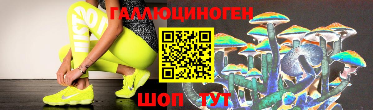 Псилоцибиновые грибы Magic Shrooms  Псилоцибиновые грибы GOLDEN TEACHER  купить наркотики сайты  Барнаул 