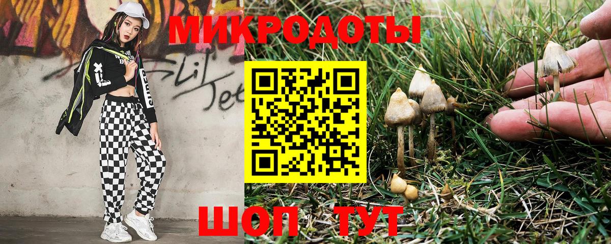 Барнаул  Галлюциногенные грибы GOLDEN TEACHER  Вход с VPN 