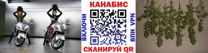 Каннабис индика Барнаул